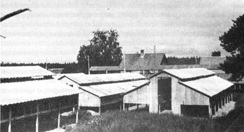 Birger Sjöholms minkfarm, Soklot 1945.