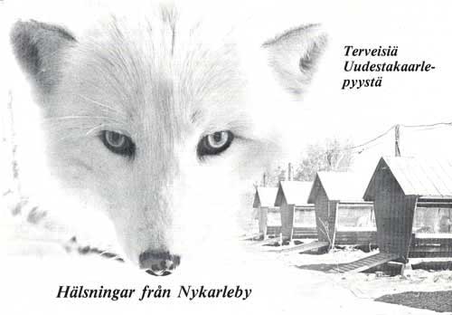 Nykarleby-centrum för Finlands pälsdjursuppfödning. Vykort utgivet 1986. Foto: Leif Sjöholm.