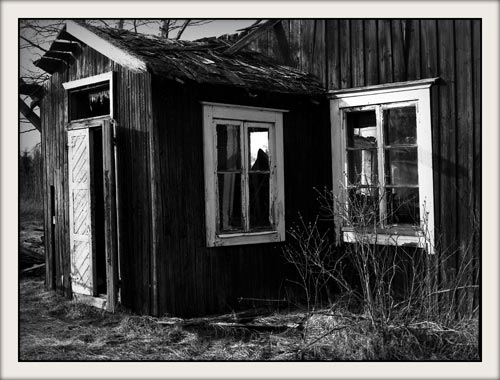 [... fönsterna av ett övergivet hus, ... Skata-Hjalmars stugas sista dagar. 